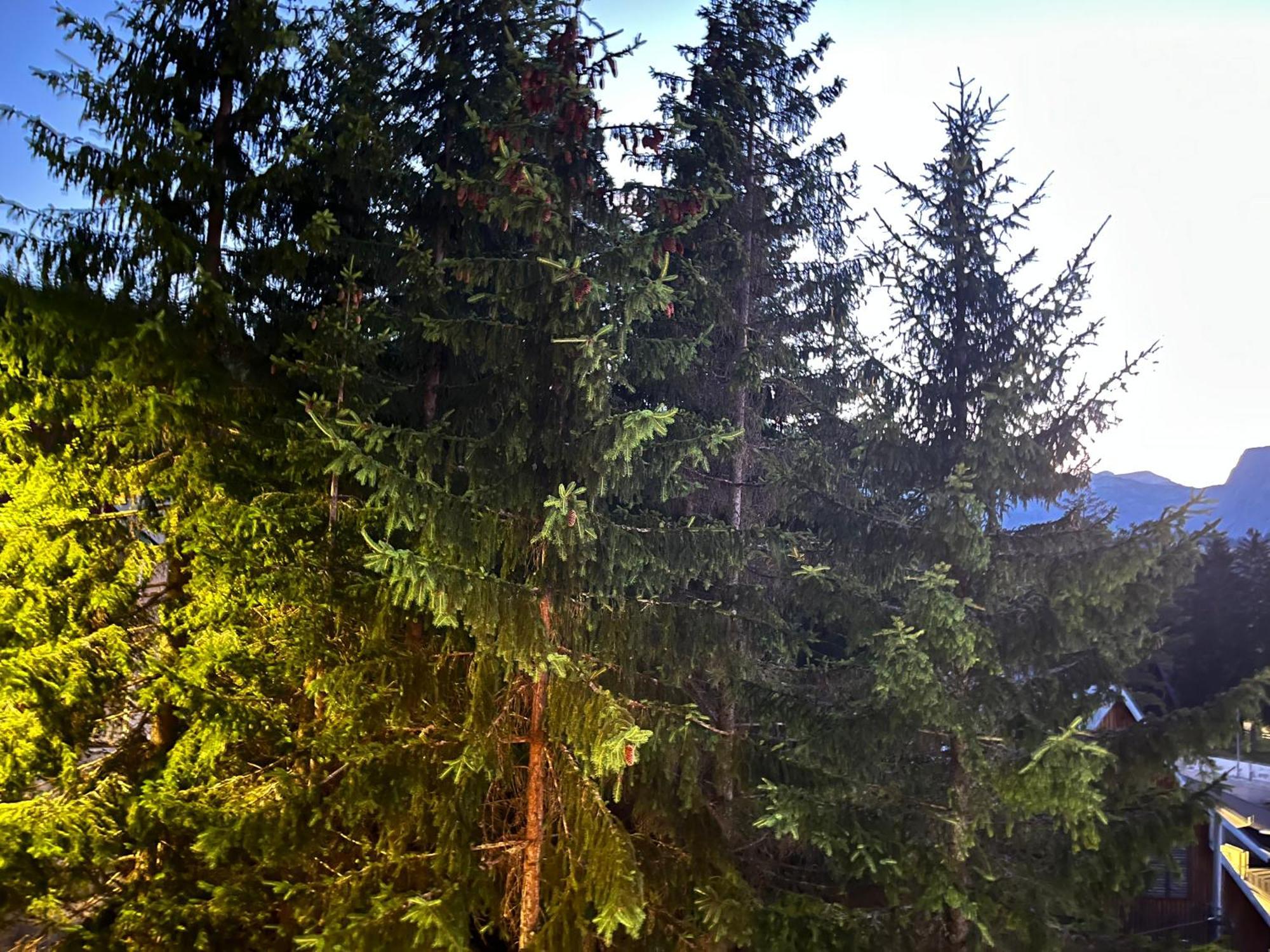 Vila Idila Žabljak Exteriör bild